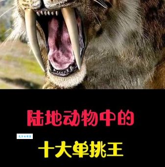 各霸一方，是哪种动物在称王称霸？