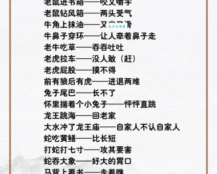 失败后重整旗鼓，是哪个生肖的写照？