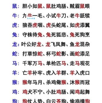 扬眉吐气一马归，十二生肖中是哪个？