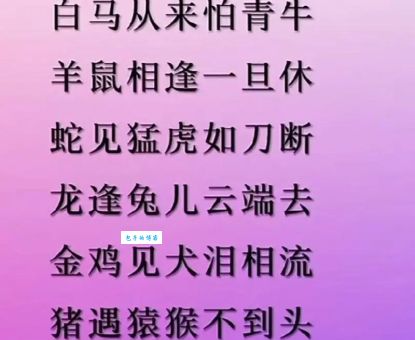 忠言逆耳是什么生肖？这几个生肖最敢说实话！