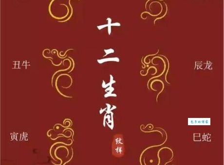 五花八门指的是什么生肖？十二生肖中哪个最贴切？