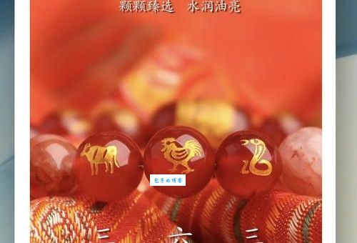 阳关大道与十二生肖哪个最匹配？