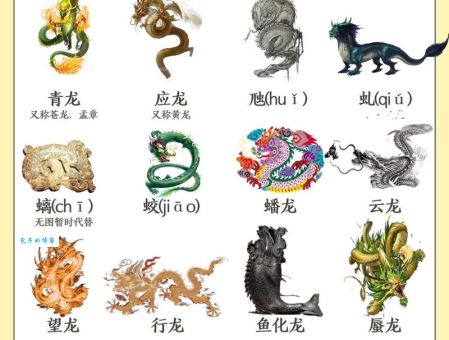 十二生肖本领强：龙、虎、蛇、猴谁更胜一筹？