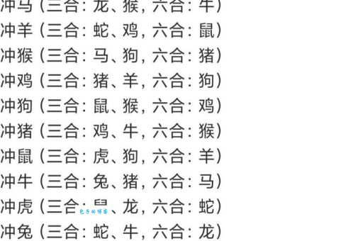 十二生肖本领强：龙、虎、蛇、猴谁更胜一筹？