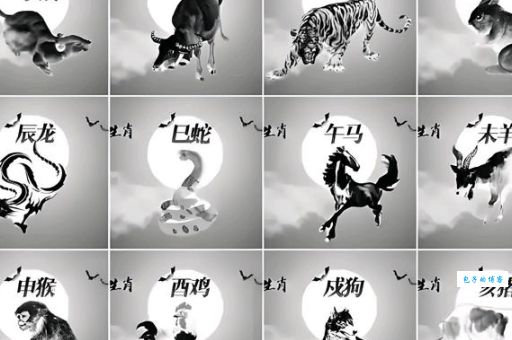 一生碌碌白首无成，猜一个生肖动物