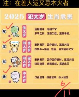 过眼云烟一肖精准预测：解读生肖背后的含义