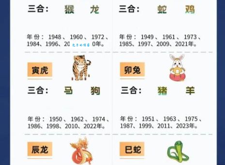 双双对对走出来猜一肖：揭秘生肖背后的秘密