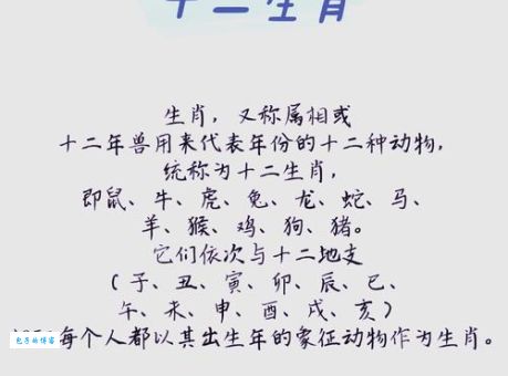 “专注野兽”指的是哪个生肖？揭秘生肖背后的故事！