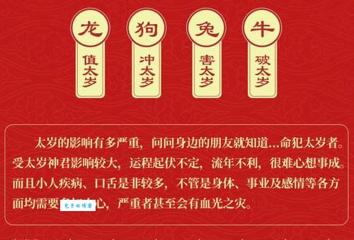 四海为家是哪个生肖的象征？不同生肖的解读