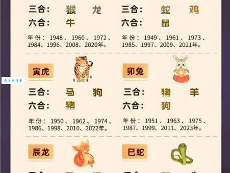 小康人家对应哪个生肖？十二生肖中哪个最贴合小康生活