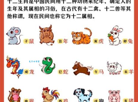 形影不离是哪个生肖？带你探索十二生肖的秘密