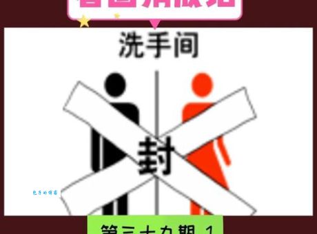 神机妙算一生肖，你猜对了吗？答案就在这里