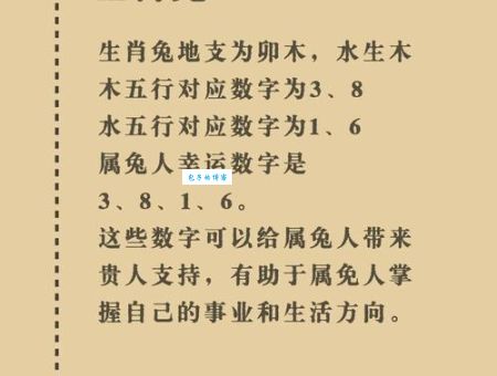 夕阳西下是什么生肖？答案揭晓，原来是它！