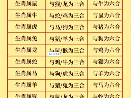 万古长青代表哪个生肖？快速找到答案！