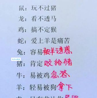 “万里挑一”是哪个生肖？从文化角度分析生肖特性