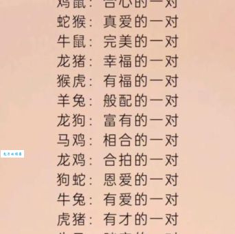 七老八十究竟是哪个生肖？速来揭秘！
