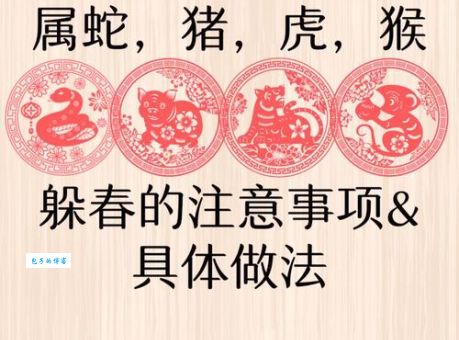 “春回地暖”指什么生肖动物？轻松学习中国传统文化知识！