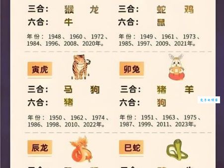 书香门第是什么生肖？这几个生肖最符合！