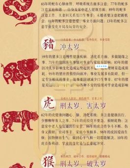 五体投地代表什么生肖？揭秘生肖与传统文化