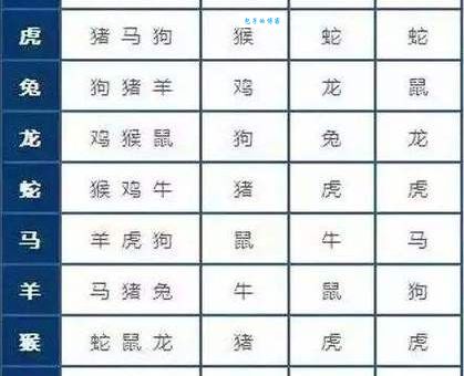 天生我才必有用和十二生肖哪个更配？深度解析