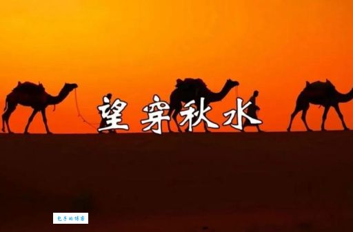 望穿秋水猜一生肖：这道谜题你解得开吗？