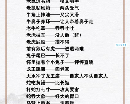 高朋满座打一生肖是什么动物？答案揭晓！