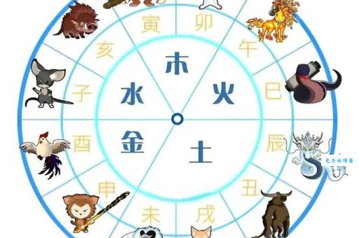 十二生肖中，哪个生肖最符合落地生根？