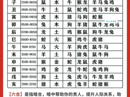 十二生肖中，哪个生肖最符合落地生根？