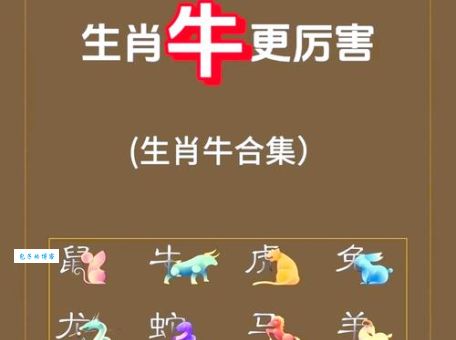 云游天下是哪个生肖的象征？深度解析生肖性格