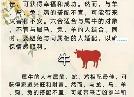 阴雨绵绵与十二生肖的秘密关联，你都知道吗？