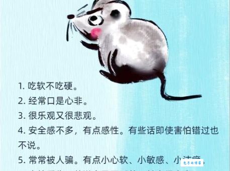 惴惴不安是什么生肖？揭秘胆小动物的秘密