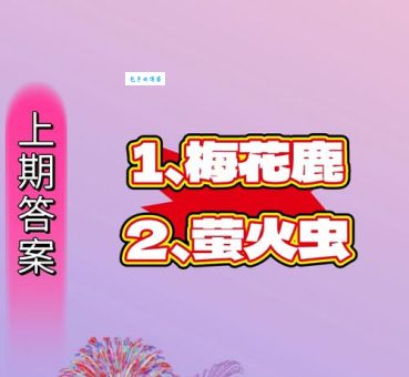 趣味谜题：隔墙有耳，打一动物，你懂吗？