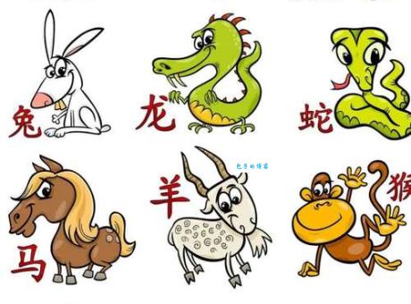 邑犬群吠代表什么动物？十二生肖中哪个是？