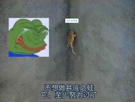 猜生肖：井底之蛙指的是哪种动物？