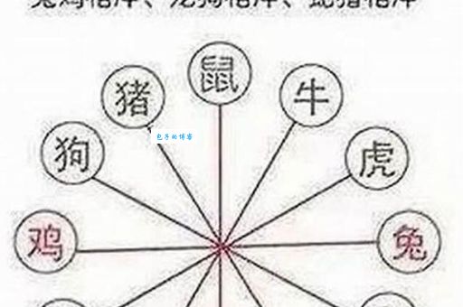 穷追猛打代表什么生肖？看看你的生肖上榜了吗？