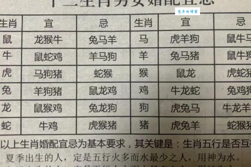 十二门徒和十二生肖的关系，你了解多少？