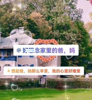 人在异乡心在家，打一生肖最佳答案是什么？