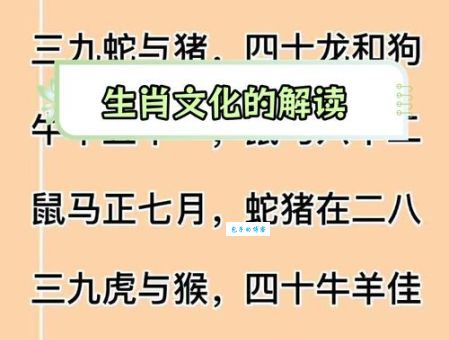 神州大地对应什么生肖？十二生肖与中国文化的渊源