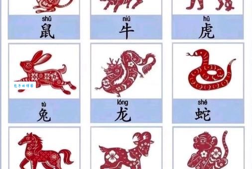 有头无尾是哪几个生肖？不同解释及文化内涵解读