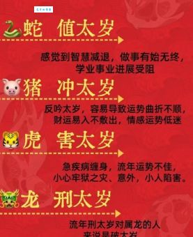 千年相约是什么生肖？详解十二生肖千年之约