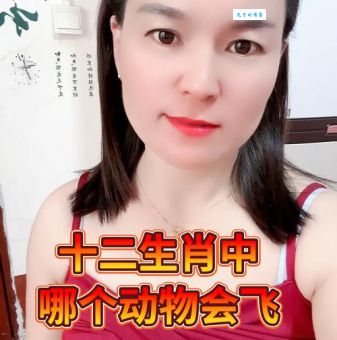 猜猜看：海阔天空指的是哪种生肖动物？