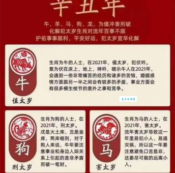 官大权大肚子大是什么生肖？答案揭晓！