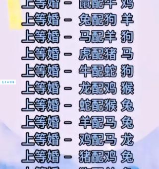 官大权大肚子大是什么生肖？答案揭晓！