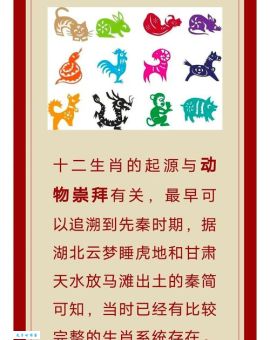 患难与共代表什么生肖？详解几种说法与分析