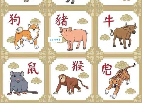 无精打采的动物是哪种生肖？看看你的生肖上榜了吗？