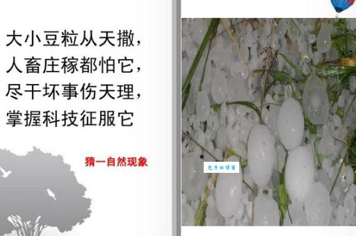 大小豆料从天撒，猜猜是哪个倒霉生肖？
