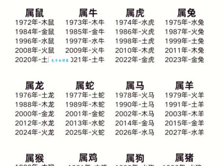 一五一十代表什么生肖？揭秘背后的含义