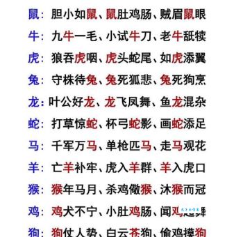 百感交集打一动物：生肖谜语，猜猜是哪个？