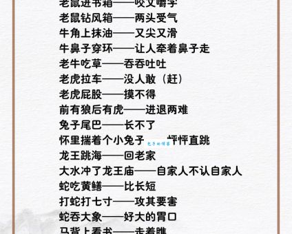 十全十美打一生肖是什么动物？答案揭晓！
