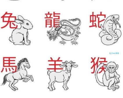 十全十美打一生肖是什么动物？答案揭晓！